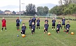 Cantera Massese