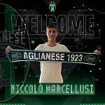 Marcellusi