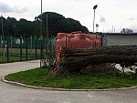 Chiavacci- Prato Zenith Audax